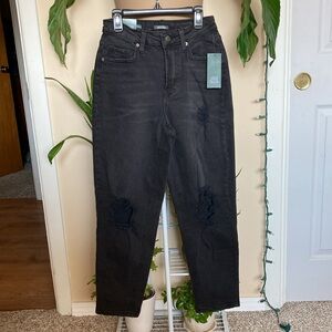 NWT Wild Fable Super High Rise Tapered Jean size 0